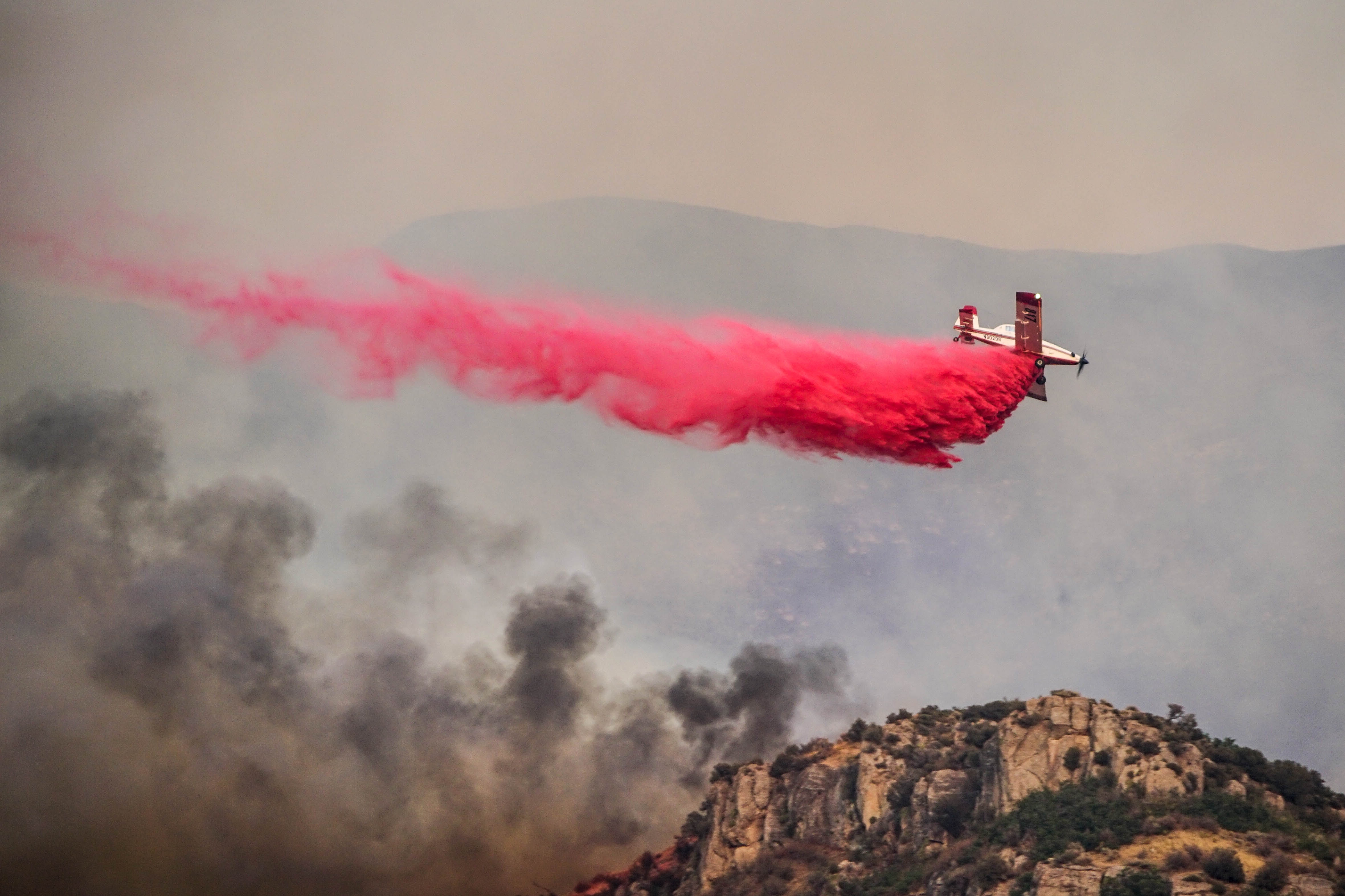 WildFire Image
